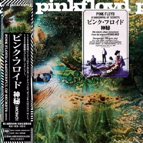 A SAUCERFUL OF SECRETS (MONO VERSION) / 神秘(MONO)/PINK