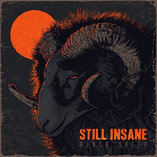 STILL INSANE / BLACK SHEEP