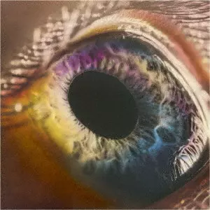 ARCADE FIRE / アーケイド・ファイア / WE / ウィ