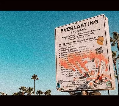 EGG BRAIN商品一覧｜ディスクユニオン・オンラインショップ