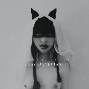 DAVID SYLVIAN / デヴィッド・シルヴィアン / SLEEPWALKERS / スリープウォーカーズ