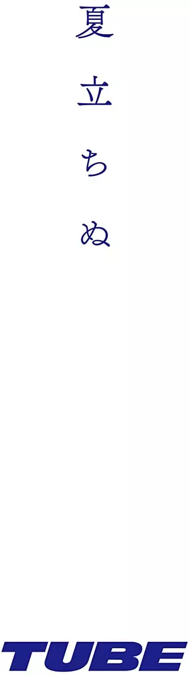 TUBE チューブ CDアルバム 28枚セット ワンオーナー品 帯付き多数 2025