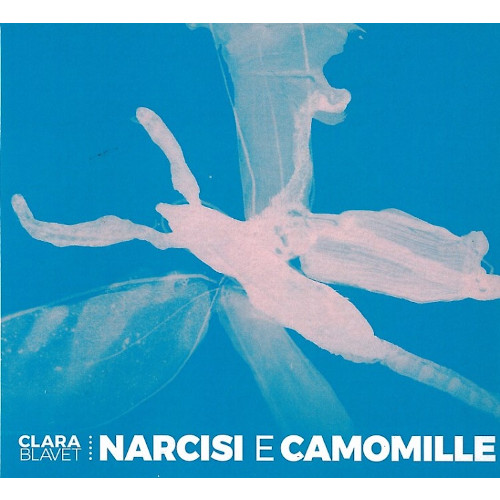 CLARA BLAVET / Narcisi E Camomille