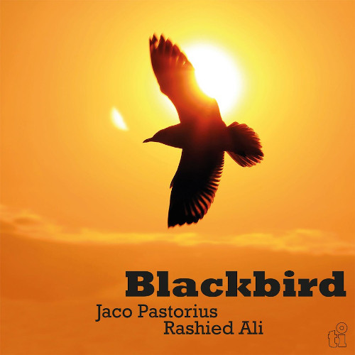 JACO PASTORIUS / ジャコ・パストリアス / Blackbird(LP/180g/YELLOW VINYL)