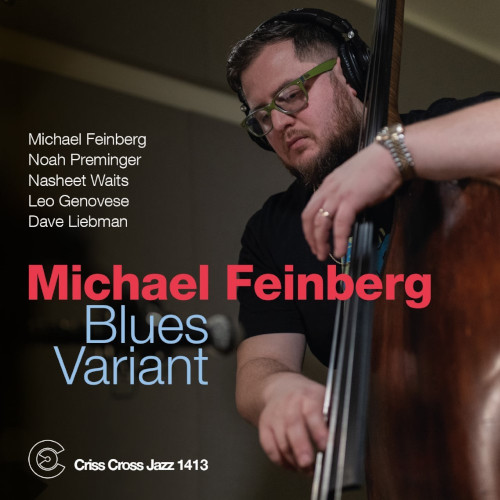 MICHAEL FEINBERG / マイケル・フェインバーグ / Blues Variant
