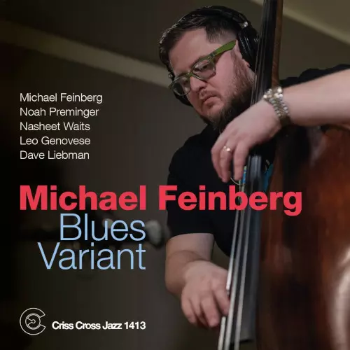 MICHAEL FEINBERG / Blues Variant