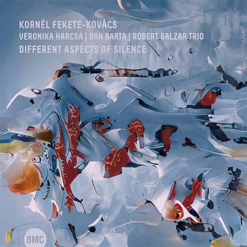 KORNEL FEKETE-KOVACS / Different Aspects Of Silence