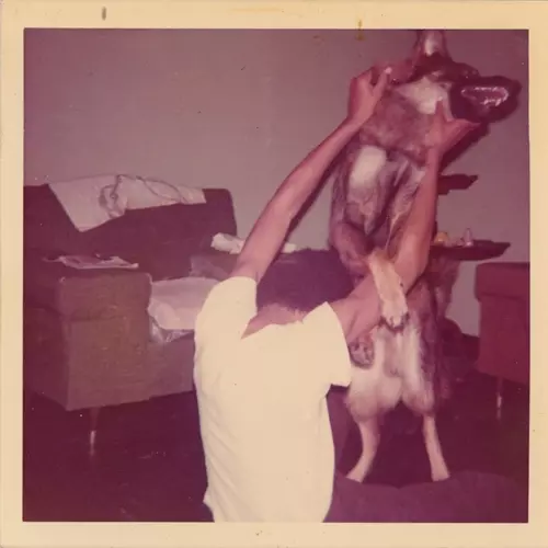 ELUCID / I TOLD BESSIE "LP"