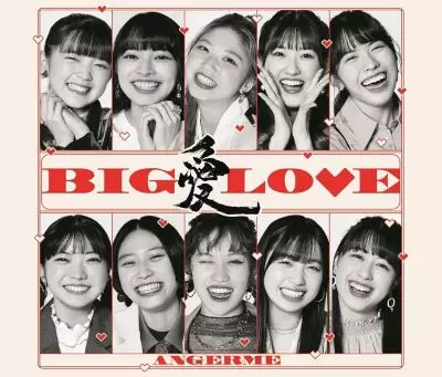 美品　静岡ロックンロール組合　永久保存盤 静岡ロックンロール組合『永久保存盤』2LP