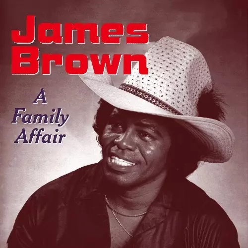 ア・ファミリー・アフェアー/JAMES BROWN/ジェームス・ブラウン/期間