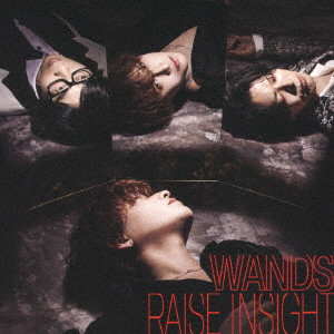 WANDS / RAISE INSIGHT