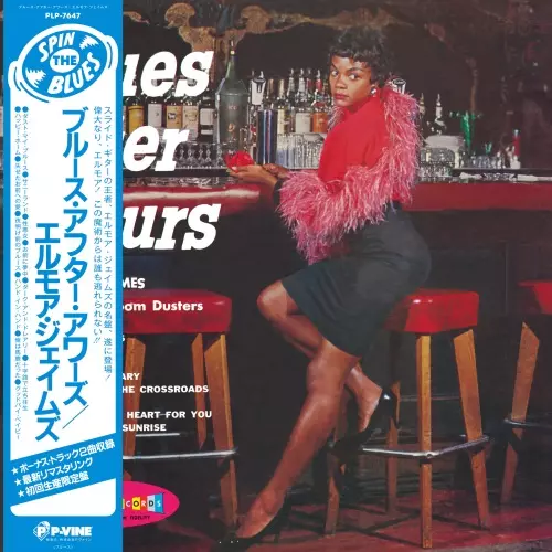 ◾️ブルース名盤□ELMORE JAMES □エルモア・ジェームス □Someth