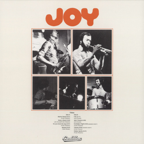 JOY (JAZZ) / ジョイ / Joy (LP)