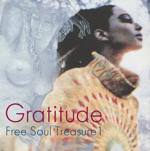 V.A. (GRATITUDE) / V.A. (グラディテュード) / GRATITUDE - SUBURBIA MEETS ULTRA-VYBE FREE SOUL TREASURE 1 (LP)