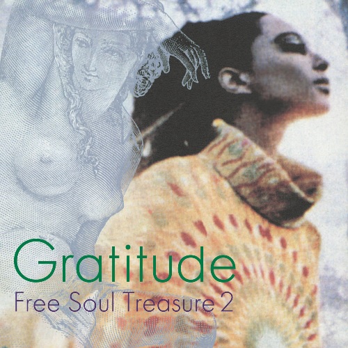 V.A. (GRATITUDE) / V.A. (グラディテュード) / GRATITUDE - SUBURBIA MEETS ULTRA-VYBE 'FREE SOUL TREASURE 2 (LP)