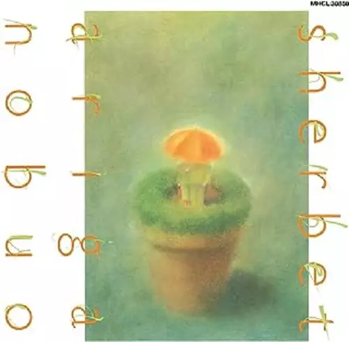 NOBUO ARIGA / 有賀啓雄 / sherbet
