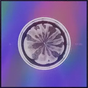 XG商品一覧｜PUNK｜ディスクユニオン・オンラインショップ