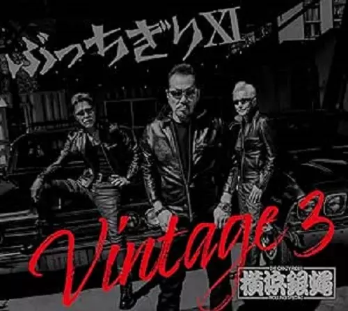 T.C.R.横浜銀蝿R.S. / ぶっちぎりXI Vintage 3