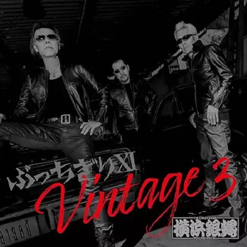 T.C.R.横浜銀蝿R.S. / ぶっちぎりXI Vintage 3