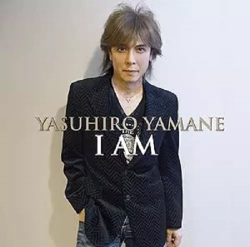 YASUHIRO YAMANE / 山根康広商品一覧｜JAPANESE ROCK・POPS / INDIES