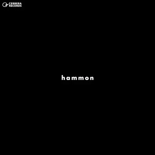 MASAAKI KIKUCHI / 菊地雅晃 / HAMON / 波紋