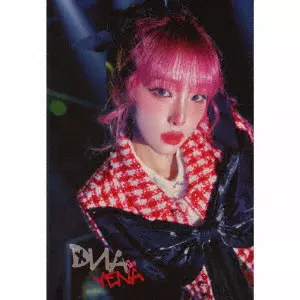 YENA商品一覧｜ディスクユニオン・オンラインショップ｜diskunion.net