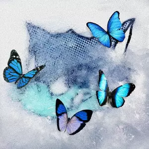 WOLF HOWL HARMONY from EXILE TRIBE / Frozen Butterfly