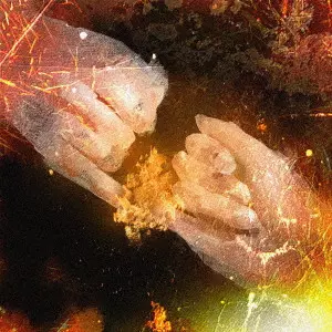 DeNeel / 導火/ブラックアウト