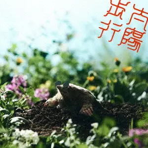 ポイントネモ(通常盤)/ZOOKARADERU/ズーカラデル｜LATIN/BRAZIL/WORLD