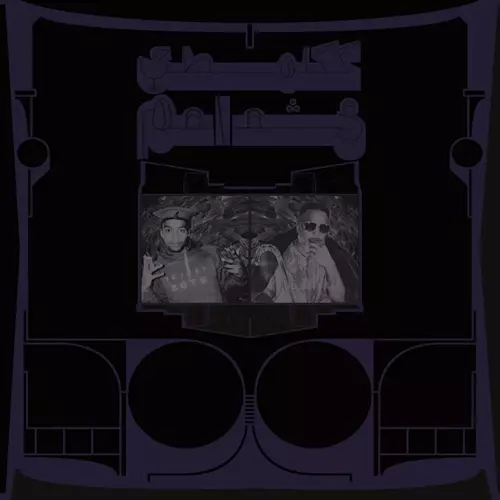 SHABAZZ PALACES / EXOTIC BIRDS OF PREY "CD"(国内盤)