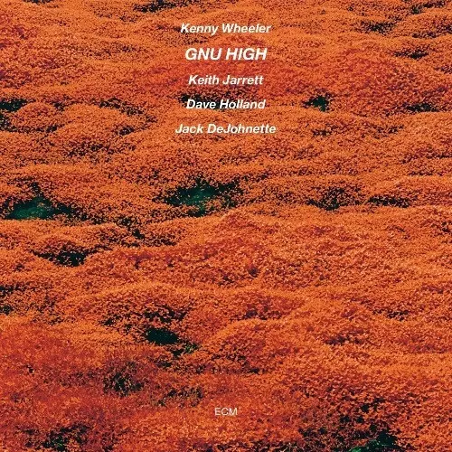 KENNY WHEELER / ケニー・ホイーラー / GNU HIGH / ヌー・ハイ(SHM-CD)
