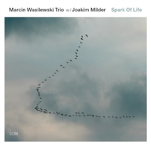 MARCIN WASILEWSKI (SIMPLE ACOUSTIC TRIO) / マルチン・ボシレフスキ(シンプル・アコースティック・トリオ) / SPARK OF LIFE / スパーク・オブ・ライフ(SHM-CD)