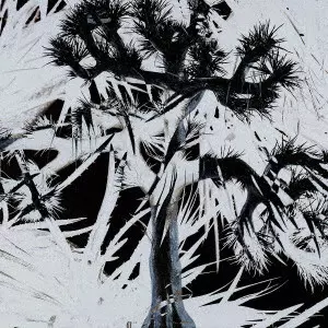 Plastic Tree/Plastic Tree/通常盤｜日本のロック｜ディスクユニオン