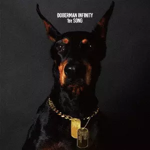 MEGA CITY FIVE doberman inc 日本語ラップ DOBERMAN INC MEGA CITY FIVE 日本語ラップ - メルカリ