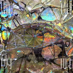 SOKONINARU / そこに鳴る / 開眼証明