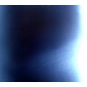 shytaupe / シャイトープ商品一覧｜JAPANESE ROCK・POPS / INDIES