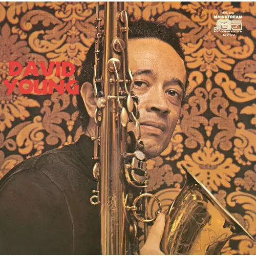 DAVID YOUNG (SAX) / デヴィッド・ヤング (SAX) / デヴィッド・ヤング