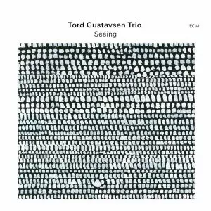TORD GUSTAVSEN / トルド・グスタフセン / SEEING / シーイング(SHM-CD)