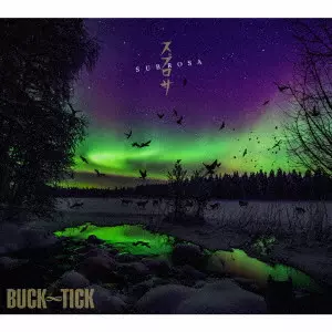 BUCK-TICK　LPレコード　櫻井敦司　バクチク BUCK-TICK バクチク 櫻井敦司 ロック ライブチラシ 超レア