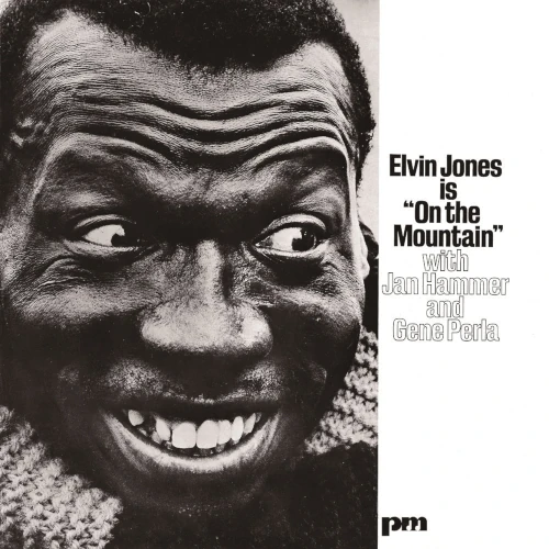 ELVIN JONES / エルヴィン・ジョーンズ / オン・ザ・マウンテン