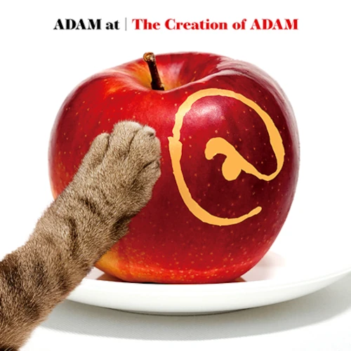 【店舗情報】1/28(火) ADAM at メジャー・デビュー10周年記念 コンプリートベストアルバムが発売