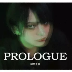 MOVIE THEMES 映画音楽 LPレコード ほぼ未使用 Yen Town Band 