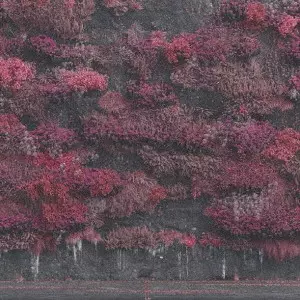 SLEEP TOKEN / スリープ・トークン / イーヴン・イン・アーケイディア