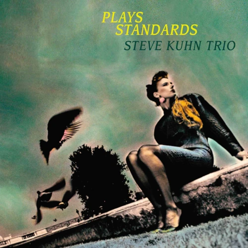 STEVE KUHN / スティーヴ・キューン / プレイズ・スタンダーズ(2LP/180g)