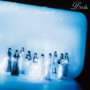 未使用 櫻坂46 Make or Break シリアル 100枚 Make or Break/SAKURAZAKA 46/櫻坂46/TYPE-D / 輸出不可 / 初回特典:生