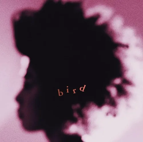 bird / bird