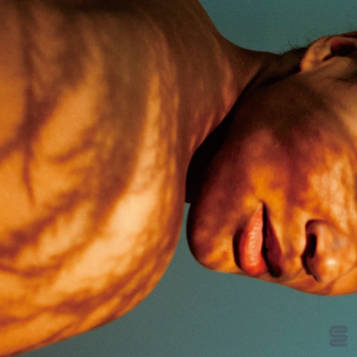 FRIDA TOURAY / フリーダ・トゥレイ / ホームバディ