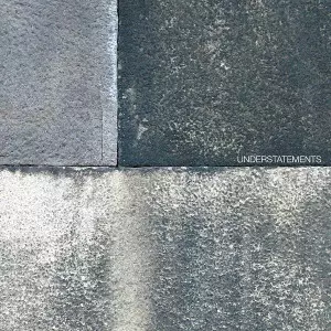 秋山徹次・中村としまる・藤掛正隆 / UNDERSTATEMENTS