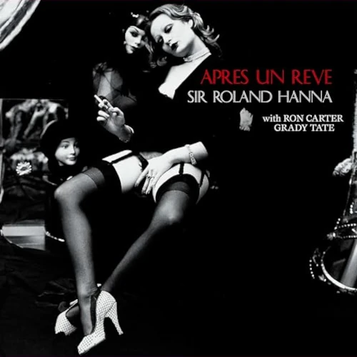 ROLAND HANNA / ローランド・ハナ / 夢のあとで(2LP)