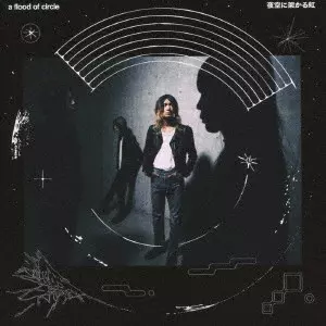 a flood of circle THE BLUE 2枚組レコード a flood of circle THE BLUE 2枚組レコード